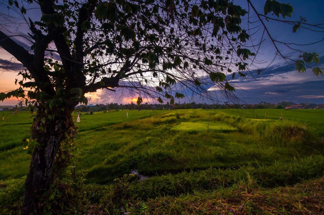 The Lebak Canggu Экстерьер фото